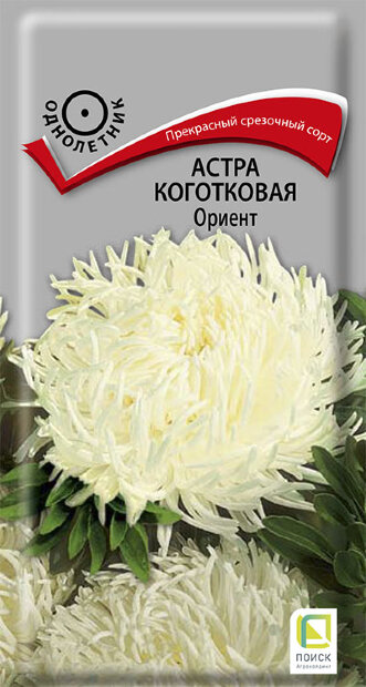 Астра коготковая Ориент семена