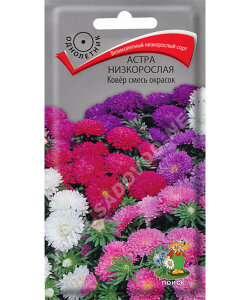 Астра низкорослая Ковер Смесь окрасок
