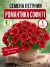 Петуния гибридная Романтика Софи (ПРОФИ) семена