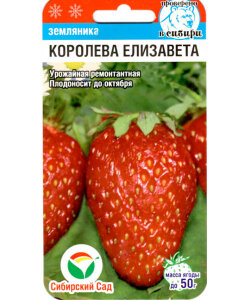 Клубника Королева Елизавета (ремонтантная) Клубника Королева Елизавета (ремонтантная)