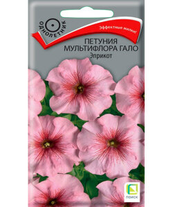 Петуния мультифлора Гало Эприкот (Профи) Петуния мультифлора Гало Эприкот (Профи)