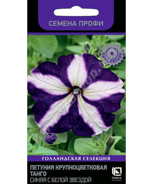 Петуния крупноцветковая Танго Синяя с белой звездой (ПРОФИ) семена
