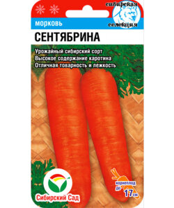 Морковь Сентябрина Морковь Сентябрина