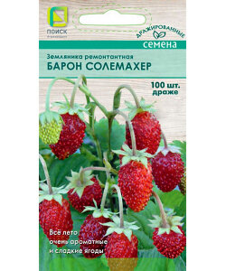 Земляника Барон Солемахер драже (ремонтантная)